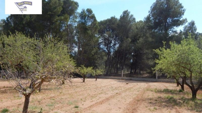 Валенсия - Ontinyent - 2873m2