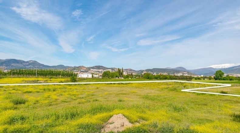 Granada - Granada - 14500m2