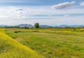 Non-developable land for sale on España, Granada, ref: TR251547 photo