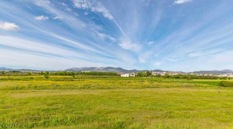 Granada - Granada - 14500m2