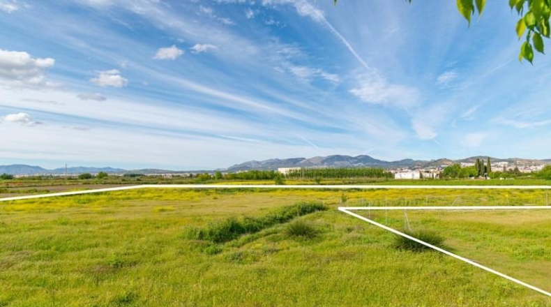 Granada - Granada - 14500m2