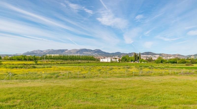 Granada - Granada - 14500m2