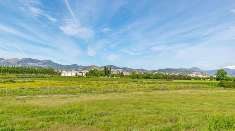 Granada - Granada - 14500m2