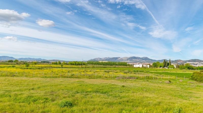 Granada - Granada - 14500m2