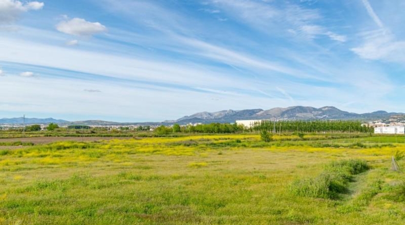 Granada - Granada - 14500m2