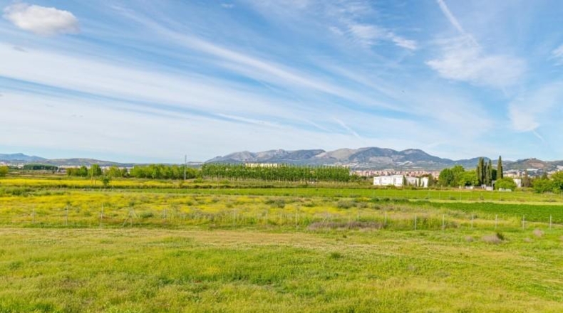 Granada - Granada - 14500m2