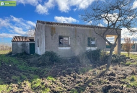 Berlangas de Roa 1569&nbsp;m²