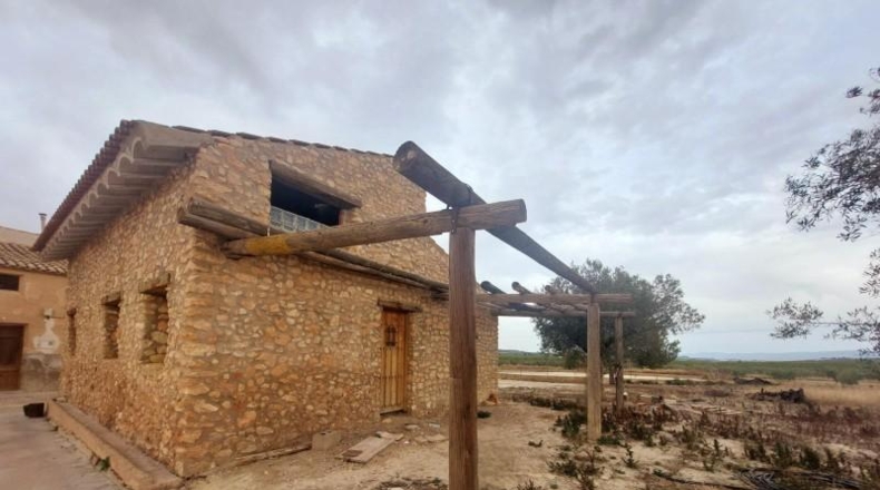 Murcia - Mula - 36000m2