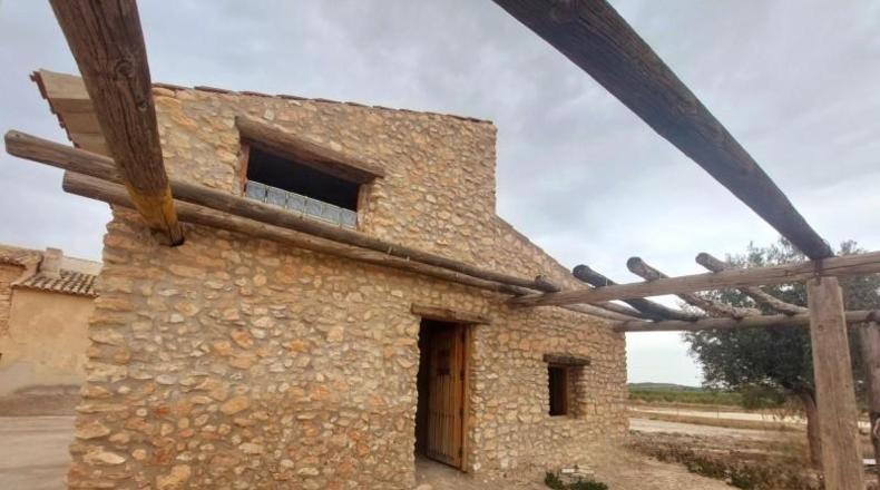Murcia - Mula - 36000m2