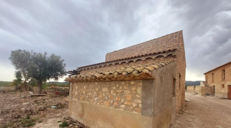 Murcia - Mula - 36000m2
