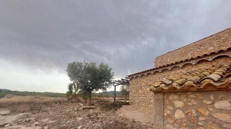 Murcia - Mula - 36000m2