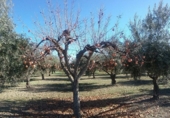 Terreno no urbanizable en venta en la España, La Zubia, ref: TR409535 foto