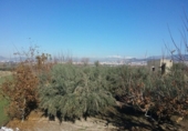Terreno no urbanizable en venta en la España, La Zubia, ref: TR409535 foto