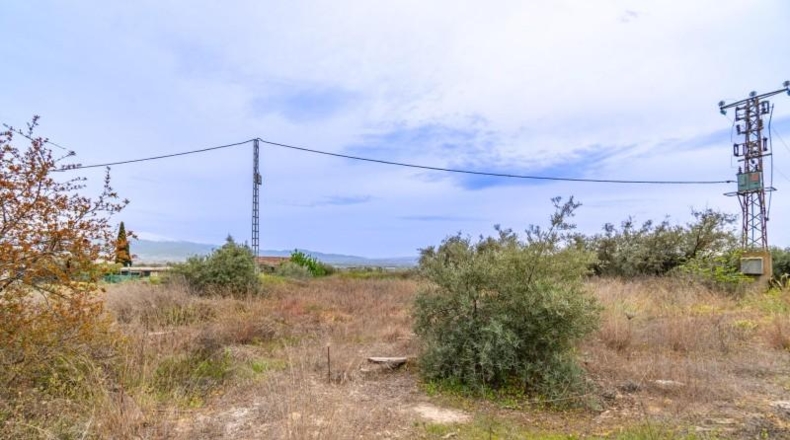 Granada - Albolote - 825m2