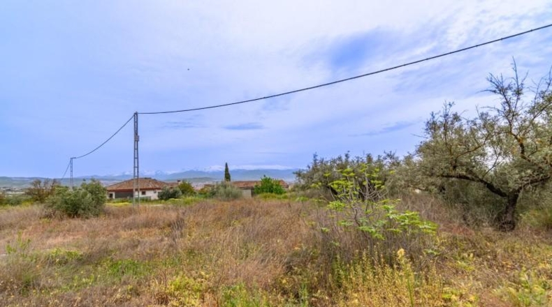 Granada - Albolote - 825m2