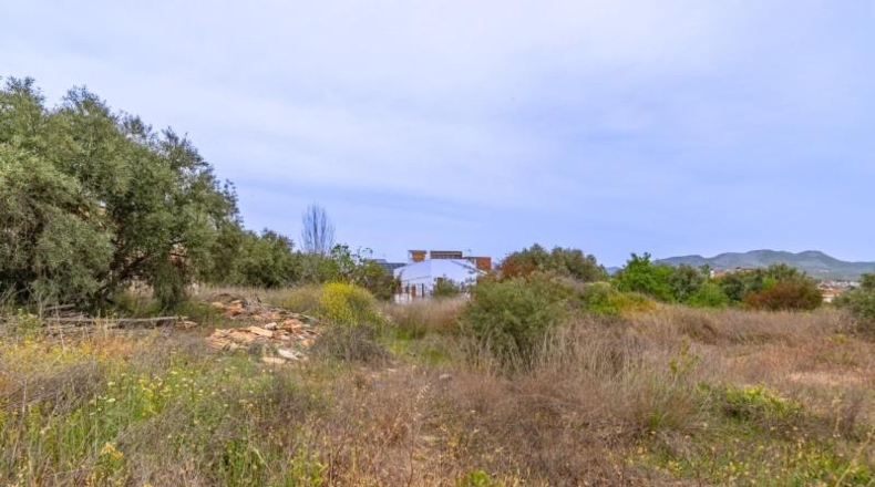 Granada - Albolote - 825m2