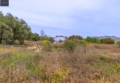 Parcela urbanizable en venta en la España, Albolote, ref: TR254957 foto