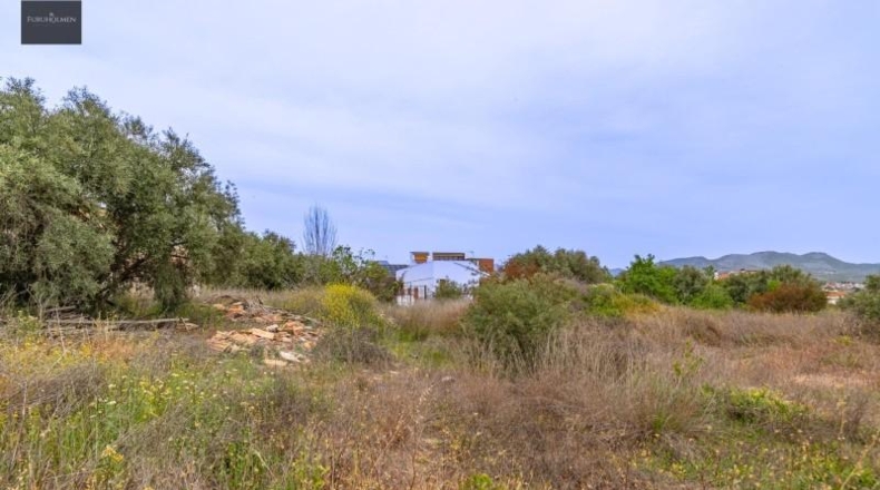 Гранада - Albolote - 825m2