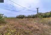Parcela urbanizable en venta en la España, Albolote, ref: TR254957 foto
