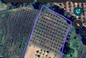 Gibraleón 8000&nbsp;m²
