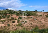 Suelo urbano en venta en la España, Ayamonte, ref: TR362444 foto