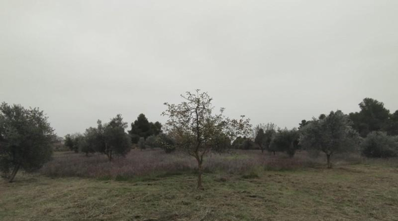 Teruel - Valderrobres - 70m2