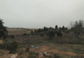 Xalet independent amb terreny en venda a la España, Vall-de-roures, ref.: TR363682 foto