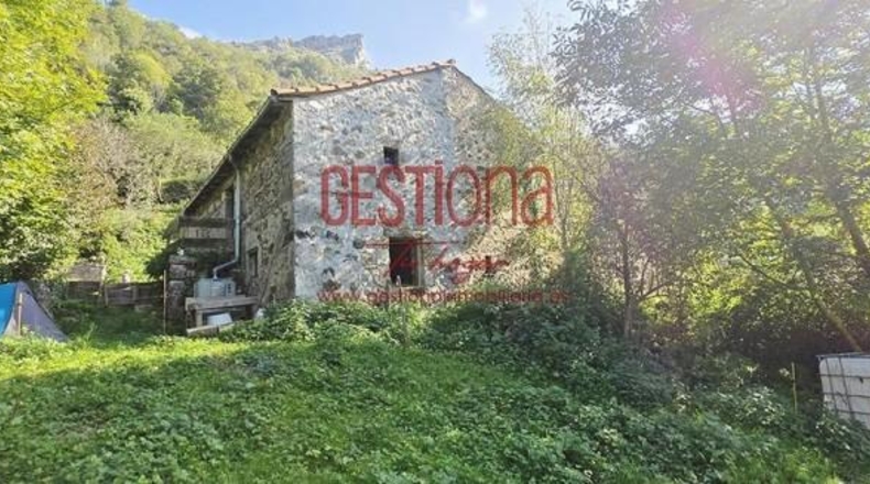 Cantabria - Miera - 90m2
