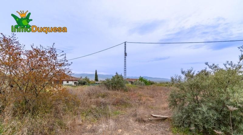 Гранада - Альболоте - 825m2