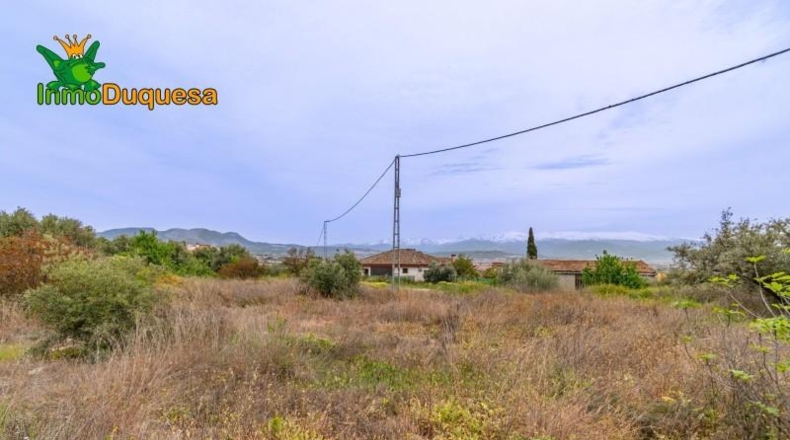 Гранада - Альболоте - 825m2