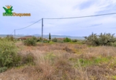 Parcela urbanizable en venta en la España, Albolote, ref: TR367069 foto