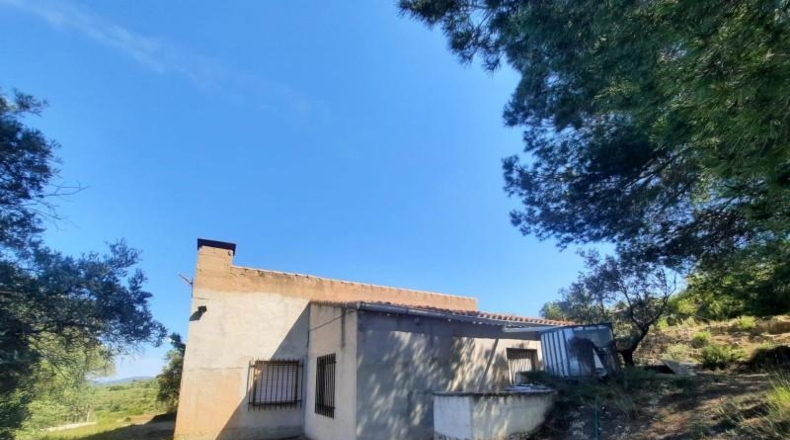 Albacete - Almansa - 520m2