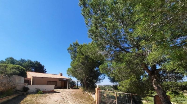 Albacete - Almansa - 520m2