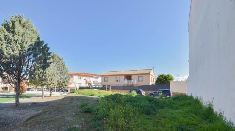 Granada - Cúllar Vega - 248m2