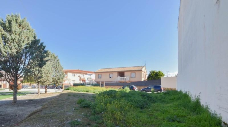 Granada - Cúllar Vega - 248m2