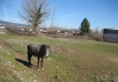 Suelo urbano en venta en la España, Cacabelos, ref: TR227784 foto