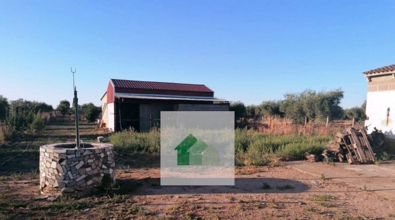 Сарагоса - Osera de Ebro - 2928m2