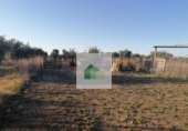 Xalet independent amb terreny en venda a la España, Montijo, ref.: TR400943 foto