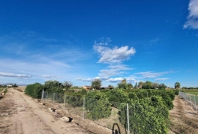 Rojales 2000&nbsp;m²