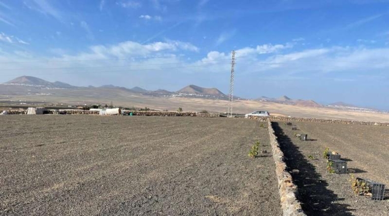 Las Palmas - Teguise - 9596m2