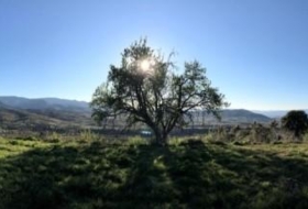 Ponferrada 3840&nbsp;m²