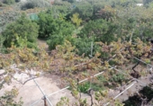 Xalet independent amb terreny en venda a la España, Balcón de Telde, ref.: TR293259 foto