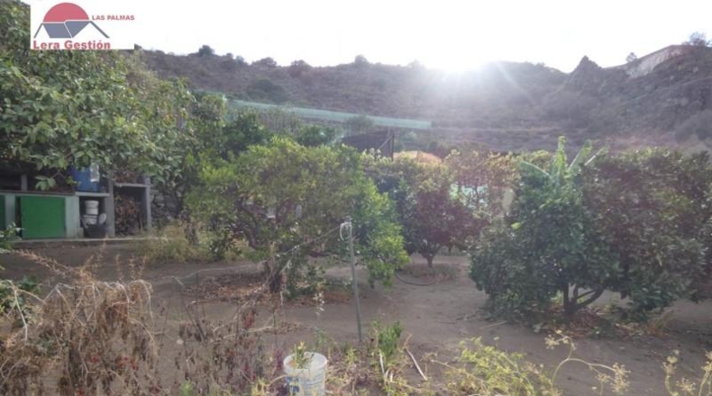 Las Palmas - Telde - 700m2