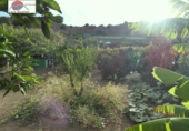 Xalet independent amb terreny en venda a la España, Balcón de Telde, ref.: TR293259 foto