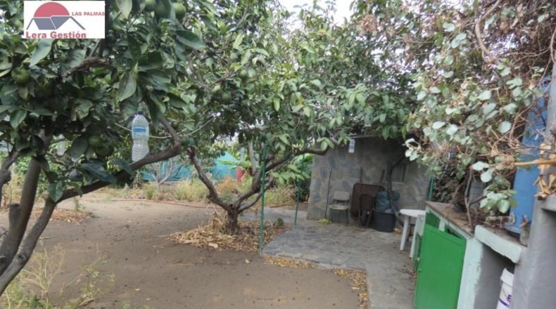 Las Palmas - Telde - 700m2