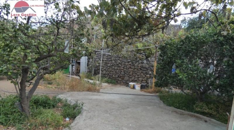 Las Palmas - Telde - 700m2