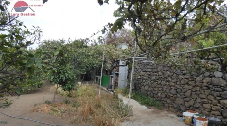 Las Palmas - Telde - 700m2