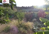 Xalet independent amb terreny en venda a la España, Balcón de Telde, ref.: TR293259 foto