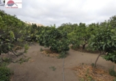 Xalet independent amb terreny en venda a la España, Balcón de Telde, ref.: TR293259 foto