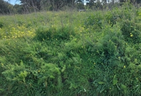 Foto 9
